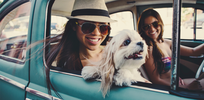 Young girls on road trip with pup